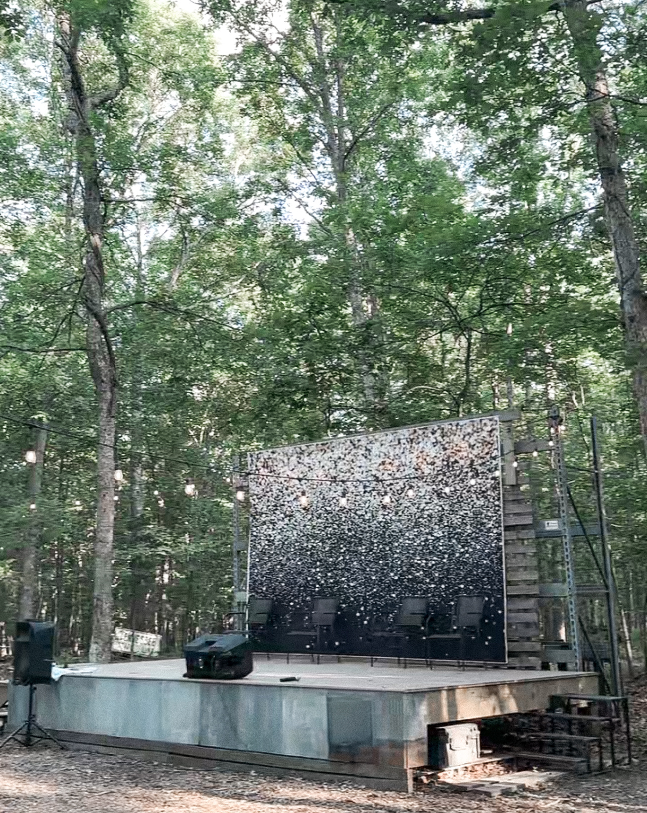 Summer Sounds: Your Go-To Guide for Outdoor Music & Festivals in the DMV